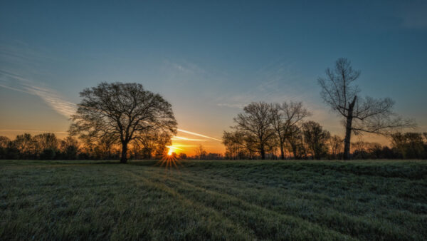 2021-05-FCa-0006-Sonnenaufgang-Siegauen