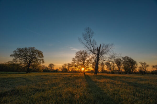 2021-05-FCa-0007-Sonnenaufgang-Siegauen
