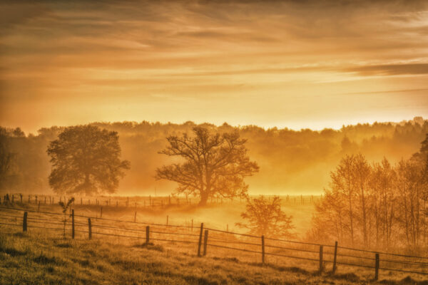 2021-05-FCa-0037-Nebliger-Sonnenmorgen-Siebengebirge