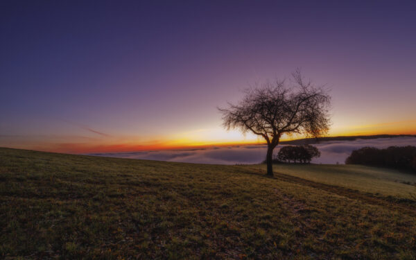 2021-10-FCa-0021-Sonnenaufgang-Eifel