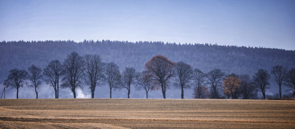 2022-01-FCa-0016-Eifellandschaft