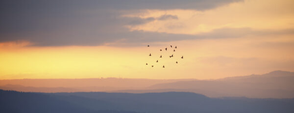 2022-02-FCa-0003-Sonnenaufgang-Bergisches-Land