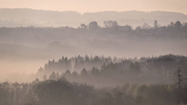 2022-04-FCa-0050-Frueher-Nebelmorgen-Siebengebirge
