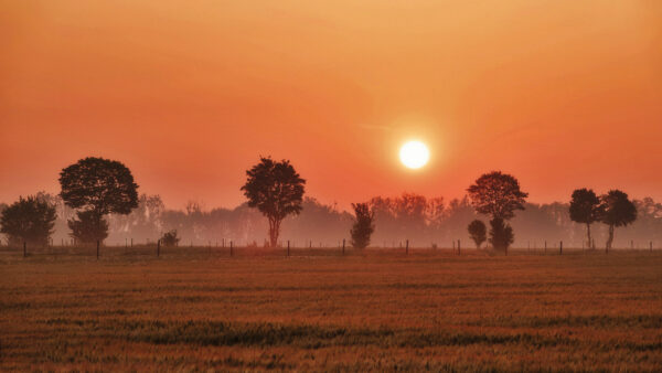 2022-05-FCa-0010-Sonnenaufgang-Voreifelland
