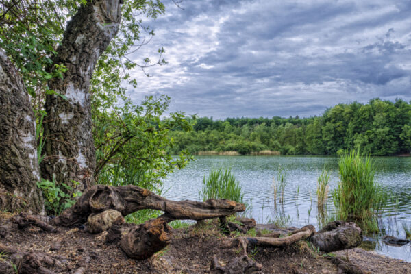 2022-05-FCa-0032-Berggeistsee
