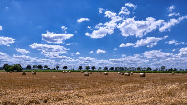 2022-07-FCa-0013-Strohballen-Sommer-Landschaft