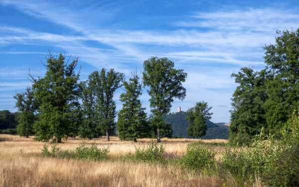 2022-07-FCa-0027-Landschaft-Rodder-Maar