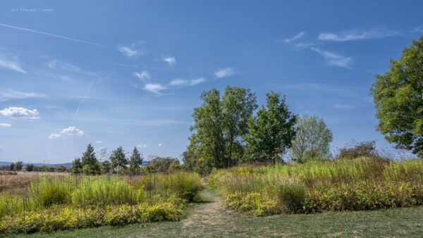 Ein bisschen Landschaft an der Aussichtsplattform Koblenzer Kanten