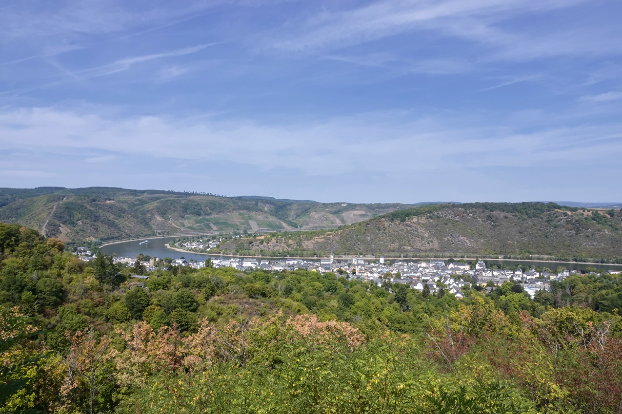 Blick von der Cäcilienhöhe ins Rheintal