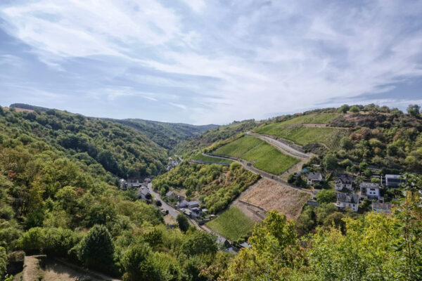 Blick von der Burg Rheinfels