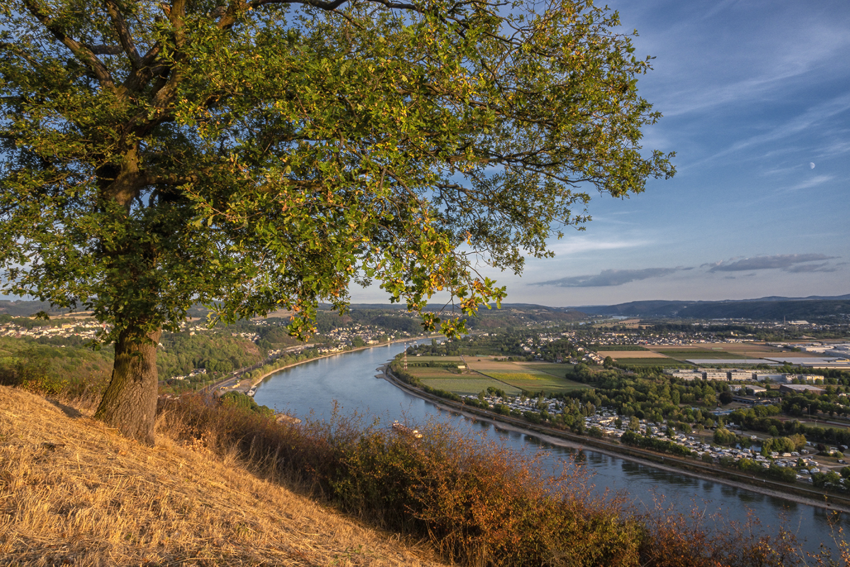 Blick von der Erpeler Ley Richtung Süden