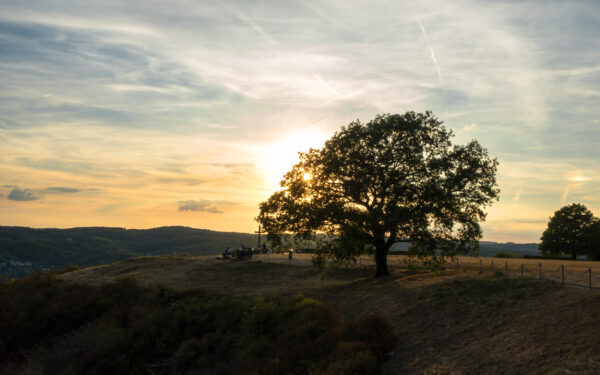 Sonnenuntergang auf der Erpeler Ley