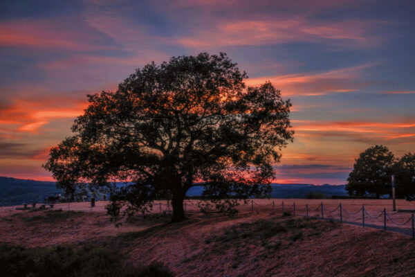 Sonnenuntergang auf der Erpeler Ley