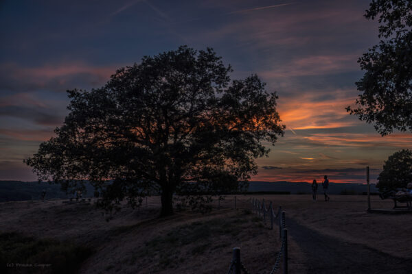 Sonnenuntergang auf der Erpeler Ley