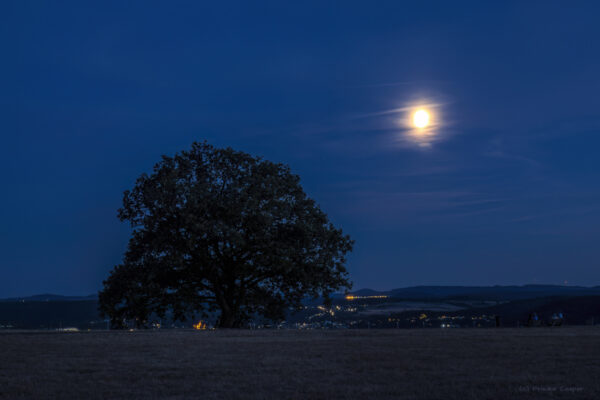 Blaue Stunde &uuml;ber der Erpeler Ley