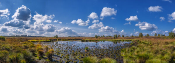 2022-09-FCa-0048-Hohes-Venn-Spaetsommer