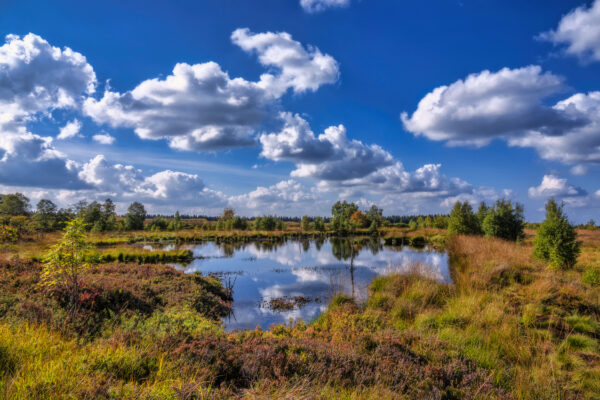 2022-09-FCa-0055-Hohes-Venn-Spaetsommer