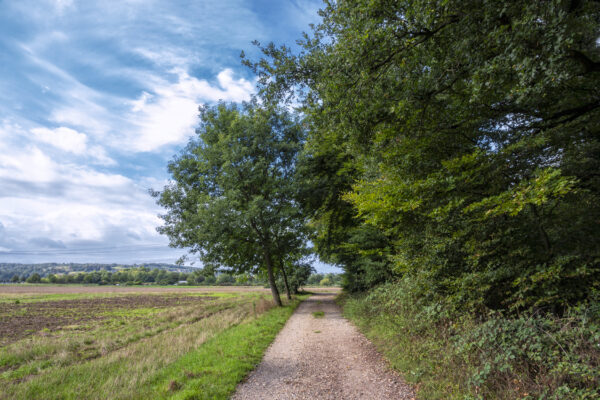 Am Bornheimer Eichenkamp