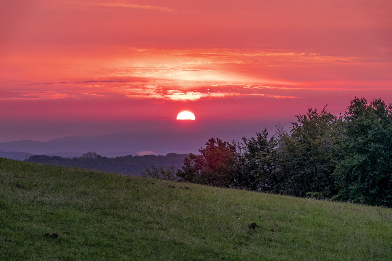 Sonnenaufgang über der Eifel