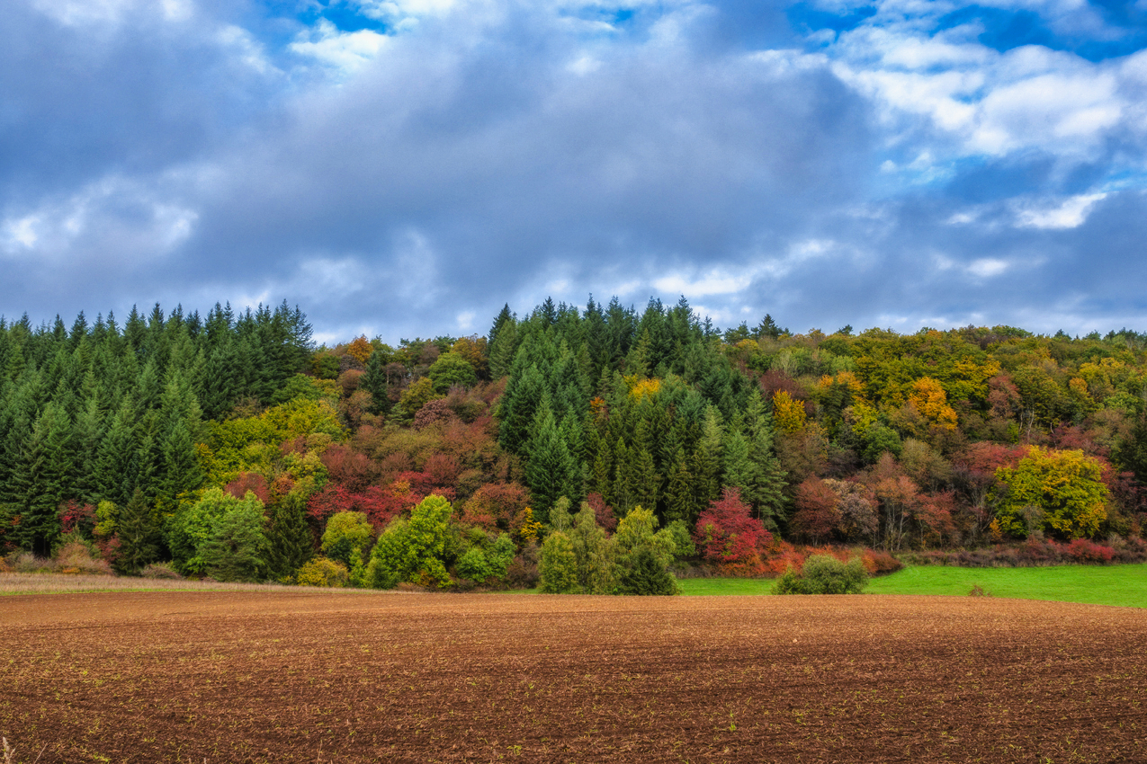 Herbstlandschaft in der Eifel