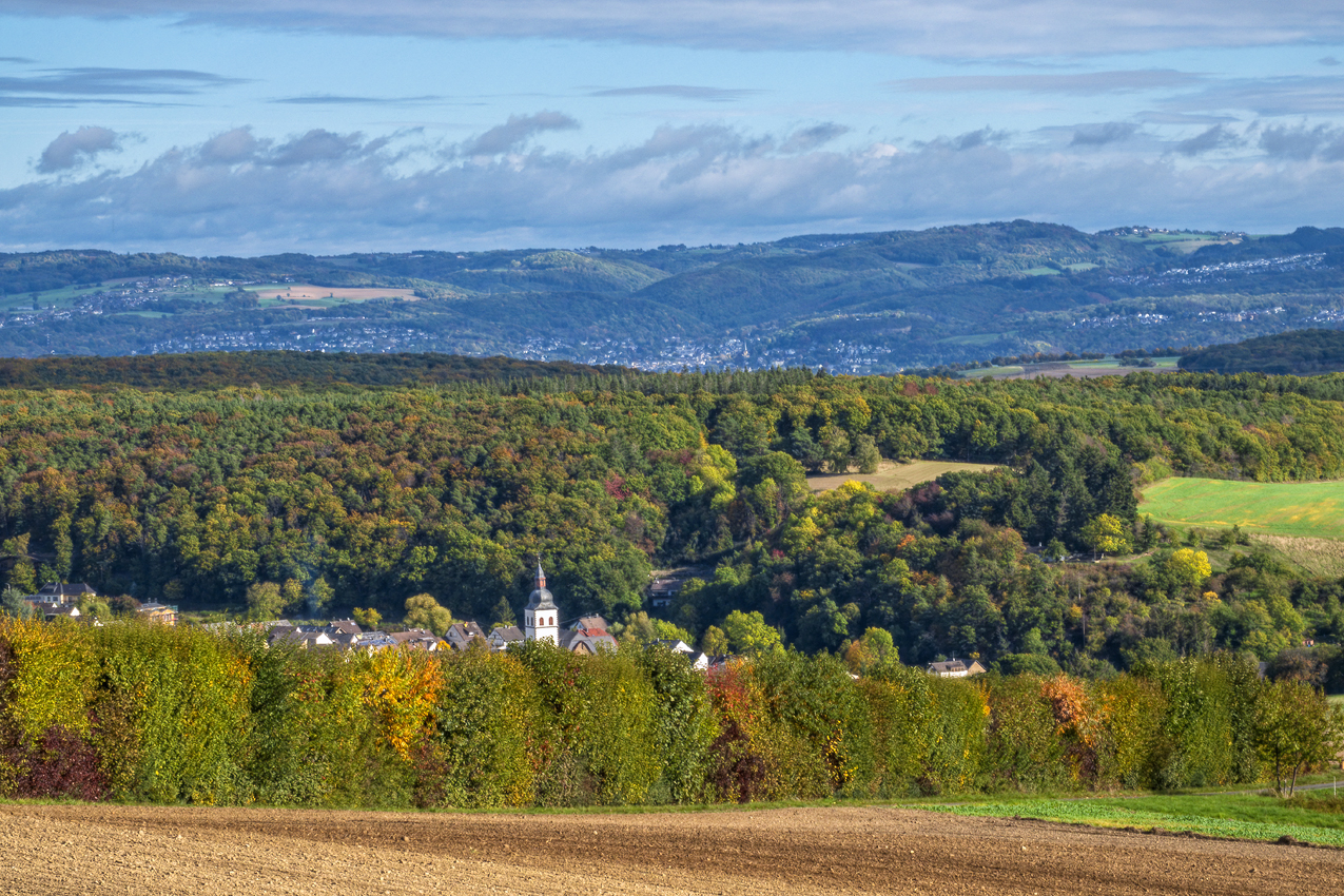 Herbstlandschaft in der Eifel