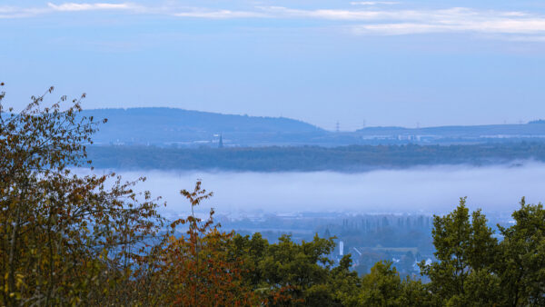 Nebel &uuml;ber dem Rheintal bei Urmitz