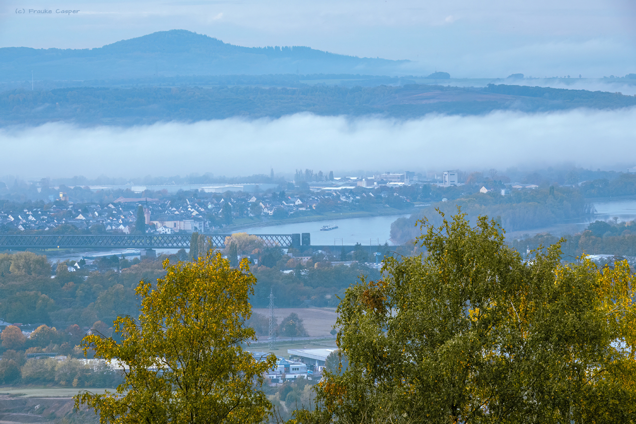 Nebel über dem Rheintal bei Urmitz