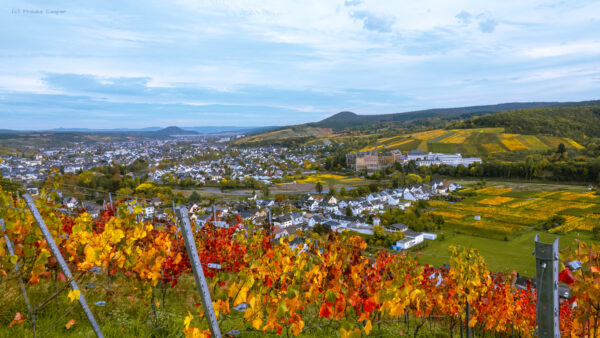 Herbstliches Ahrtal Herbstliches Ahrtal