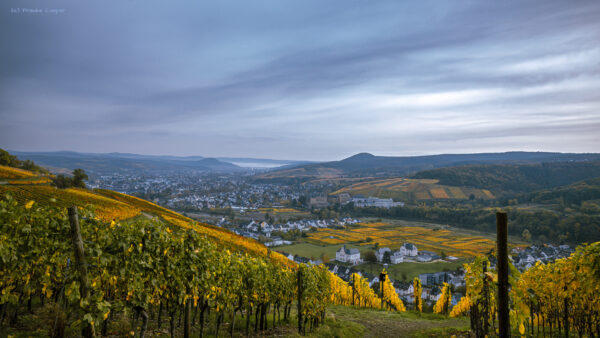 Herbstliches Ahrtal