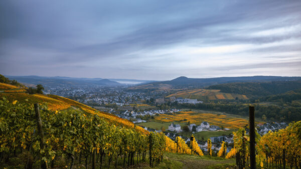 2022-10-FCa-0068-Herbstliches-Ahrtal