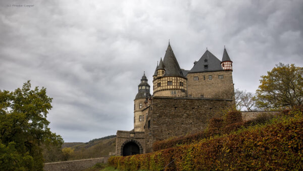 Schloss B&uuml;rresheim - Im Film stellt es das fiktive Schloss Brunwald an der deutsch-&ouml;sterreichischen Grenze dar, in dem Professor Henry Jones senior festgehalten wird. Unter anderem ist es auch in dem Kinderfilm Der Prinz und der Pr&uuml;gelknabe als Schloss des K&ouml;nigs zu sehen, aus dem der Prinz und der Pr&uuml;gelknabe fl&uuml;chten. Au&szlig;erdem zeigte ein Werbefilm f&uuml;r &bdquo;4711 Echt K&ouml;lnisch Wasser&ldquo; den barocken Garten sowie das Schloss im Hintergrund, und im Mai 2009 fanden hier Dreharbeiten zum WDR-M&auml;rchenfilm Rumpelstilzchen statt.