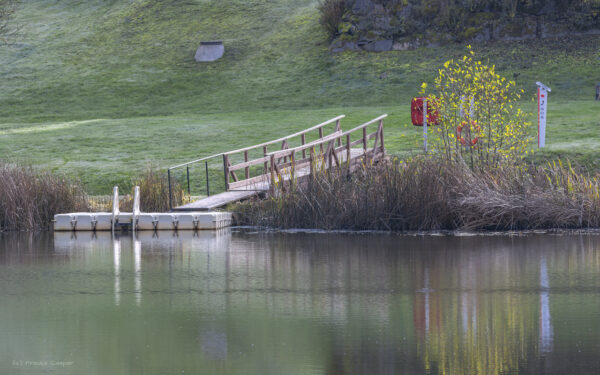 Badeeinstieg am Riedener Waldsee