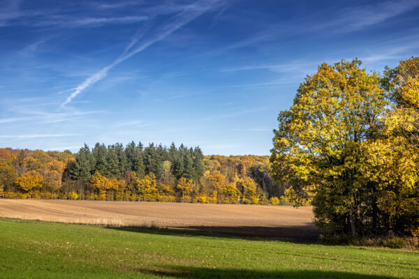 Herbstlandschaft in der Umgebung vom Rodder Maar (Eifel)