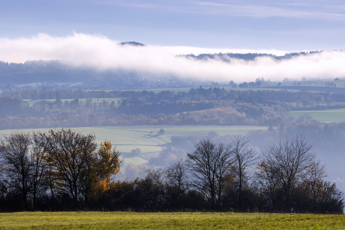 Herbstlandschaft in der Umgebung vom Rodder Maar (Eifel)