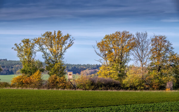 Herbstlandschaft in der Umgebung vom Rodder Maar (Eifel) Herbstlandschaft in der Umgebung vom Rodder Maar (Eifel)