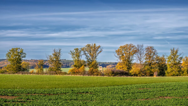 Herbstlandschaft in der Umgebung vom Rodder Maar (Eifel)