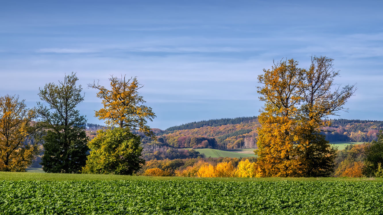 Herbstlandschaft in der Umgebung vom Rodder Maar (Eifel)