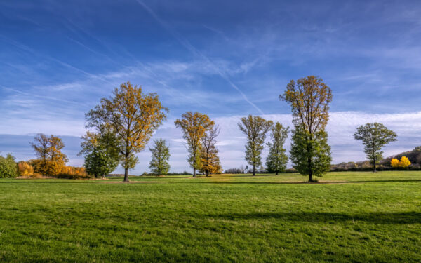 Herbstlandschaft in der Umgebung vom Rodder Maar (Eifel) Herbstlandschaft in der Umgebung vom Rodder Maar (Eifel)
