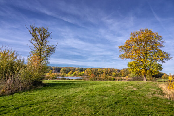 Herbstlandschaft in der Umgebung vom Rodder Maar (Eifel)