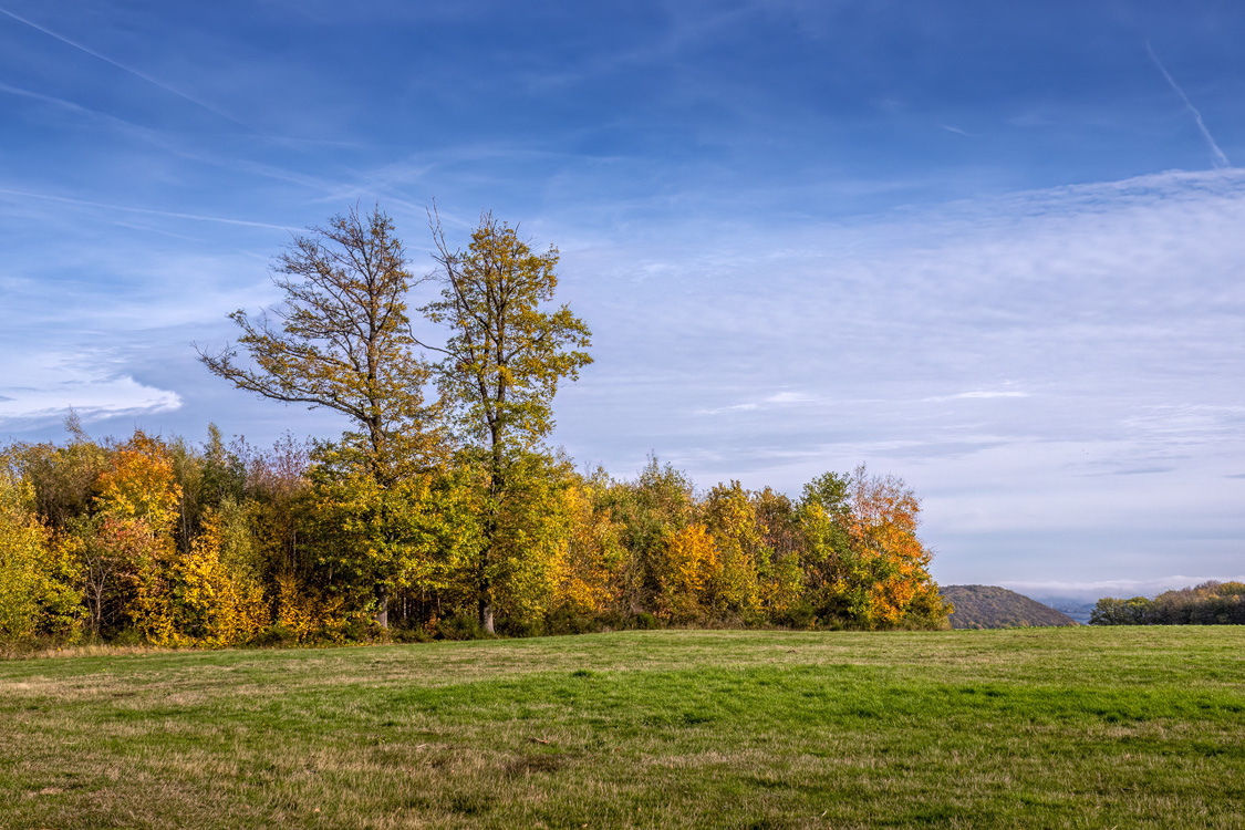 Herbstlandschaft in der Umgebung vom Rodder Maar (Eifel)