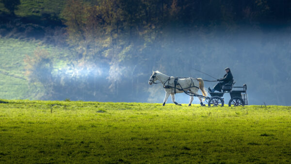 Eine Kutschfahrt durch die Eifel w&uuml;rde mir auch gefallen.