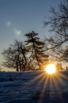 2022-12-FCa-0009-Eifel-Schnee-Landschaft