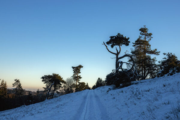 2022-12-FCa-0011-Eifel-Schnee-Landschaft