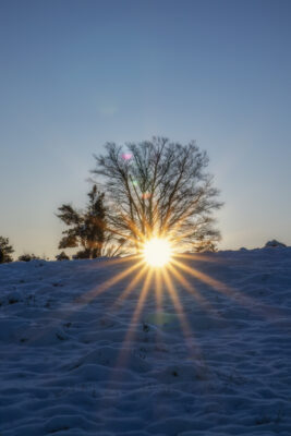 2022-12-FCa-0013-Eifel-Schnee-Landschaft