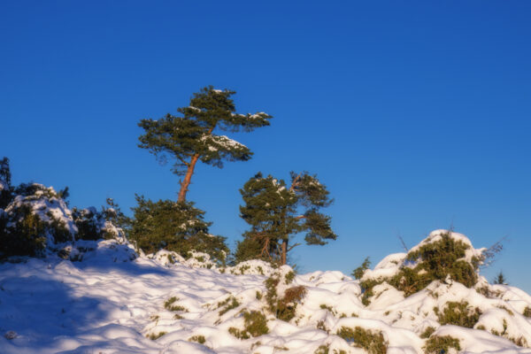 2022-12-FCa-0018-Eifel-Schnee-Landschaft