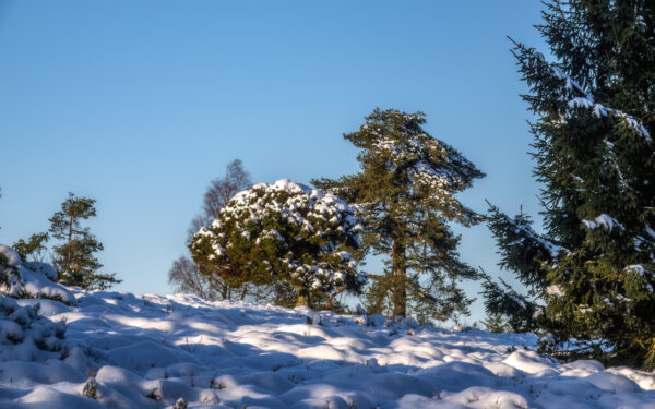 2022-12-FCa-0021-Eifel-Schnee-Landschaft