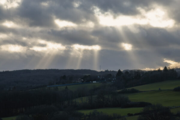 2022-12-FCa-0038-Sunbeams