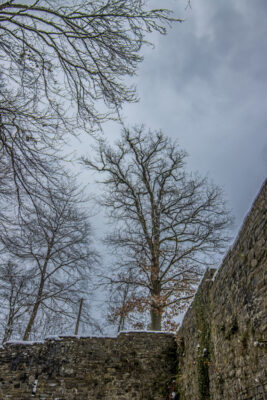 2023-01-FCa-0001-Burgruine-Windeck
