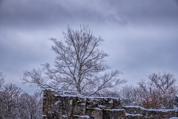 2023-01-FCa-0002-Burgruine-Windeck