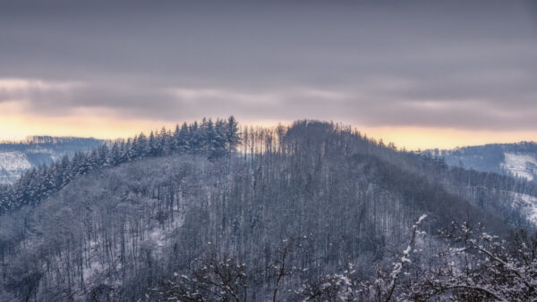 2023-01-FCa-0005-Aussicht-Burgruine-Windeck